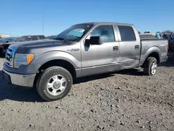 Ford salvage cars for sale: 2010 Ford F150 Supercrew