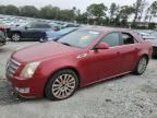 2010 Cadillac CTS Performance Collection