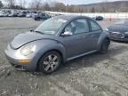 2006 Volkswagen New Beetle 2.5L Option Package 1