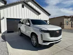 Salvage cars for sale at Las Vegas, NV auction: 2023 Cadillac Escalade Premium Luxury