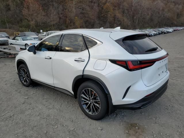 2024 Lexus NX 350H Base