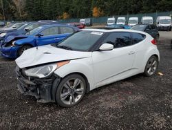 Vehiculos salvage en venta de Copart Graham, WA: 2013 Hyundai Veloster