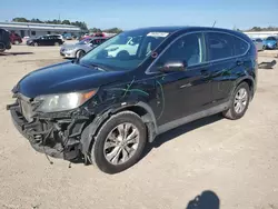 Honda cr-v ex salvage cars for sale: 2013 Honda CR-V EX