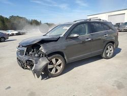 Salvage cars for sale at Gaston, SC auction: 2013 KIA Sorento EX