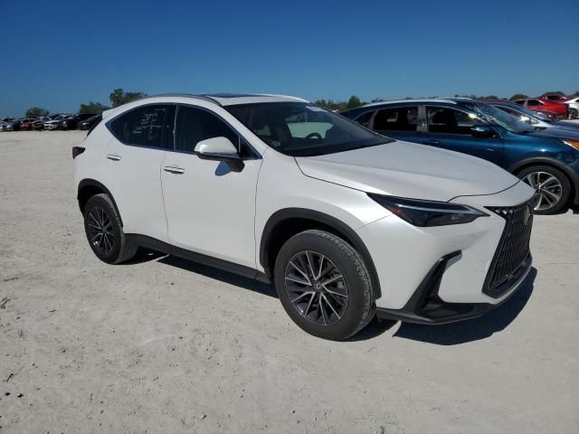 2024 Lexus NX 250 Premium