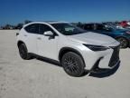 2024 Lexus NX 250 Premium