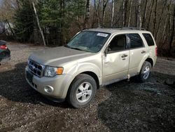 Vehiculos salvage en venta de Copart Ontario Auction, ON: 2010 Ford Escape XLT