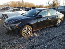 Nissan salvage cars for sale: 2023 Nissan Altima SV