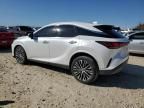 2023 Lexus RX 350 Base