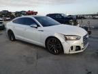 2019 Audi S5 Premium Plus