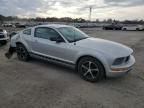 2005 Ford Mustang