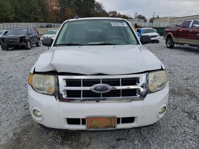 2008 Ford Escape XLT