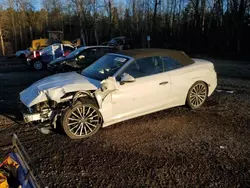 Salvage cars for sale at Cookstown, ON auction: 2024 Audi A5 Premium 45