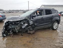 Ford Escape Vehiculos salvage en venta: 2019 Ford Escape SEL