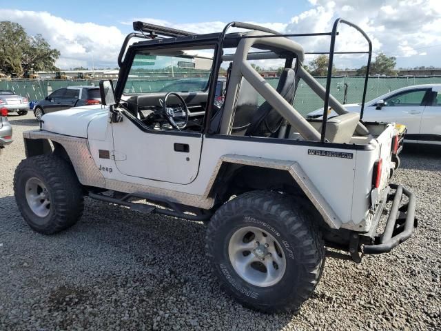 1991 Jeep Wrangler / YJ