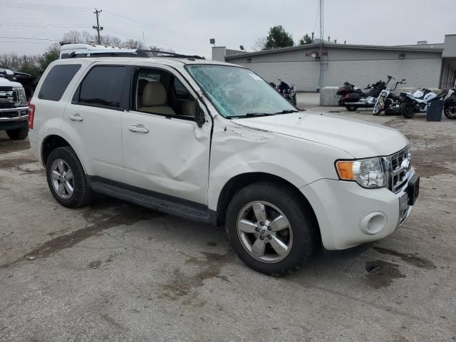 2012 Ford Escape Limited