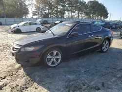 Honda Accord exl salvage cars for sale: 2011 Honda Accord EXL