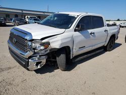 2019 Toyota Tundra Crewmax SR5 en venta en Harleyville, SC