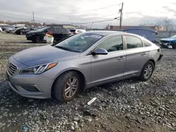 Salvage cars for sale at Windsor, NJ auction: 2015 Hyundai Sonata SE