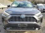 2023 Toyota Rav4 XSE