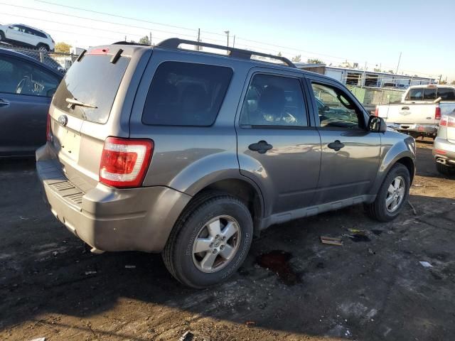 2011 Ford Escape XLT