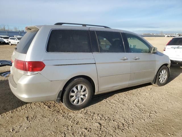 2008 Honda Odyssey EXL