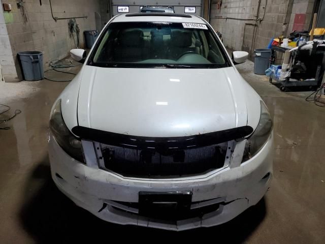 2008 Honda Accord EXL