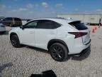 2020 Lexus NX 300 F Sport