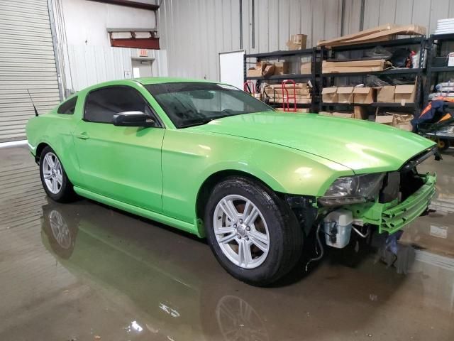 2013 Ford Mustang