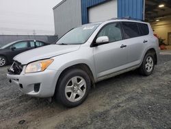 Salvage cars for sale at Elmsdale, NS auction: 2011 Toyota Rav4