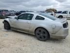 2013 Ford Mustang