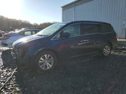 Honda salvage cars for sale: 2017 Honda Odyssey EXL