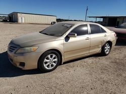 Toyota salvage cars for sale: 2010 Toyota Camry Base