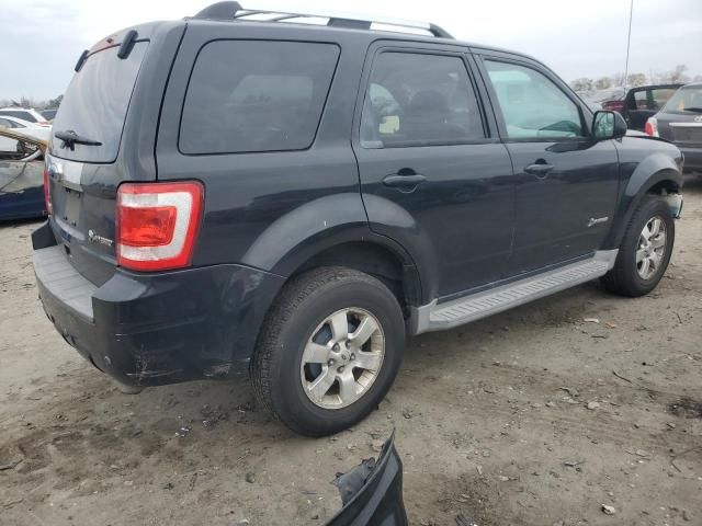 2010 Ford Escape Hybrid