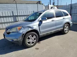 Salvage cars for sale at Sun Valley, CA auction: 2010 Honda CR-V EXL