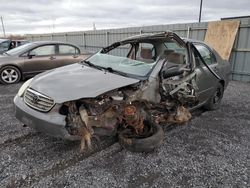 Salvage cars for sale at Ottawa, ON auction: 2006 Toyota Corolla CE