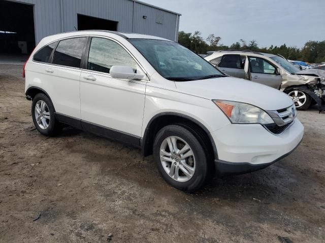 2010 Honda CR-V EXL