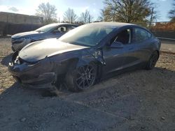 Salvage cars for sale at Baltimore, MD auction: 2023 Tesla Model 3