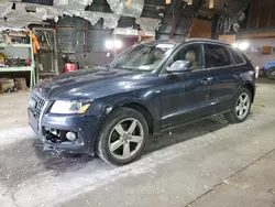 Audi Vehiculos salvage en venta: 2012 Audi Q5 Premium Plus