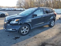 Salvage cars for sale at auction: 2016 Ford Escape SE