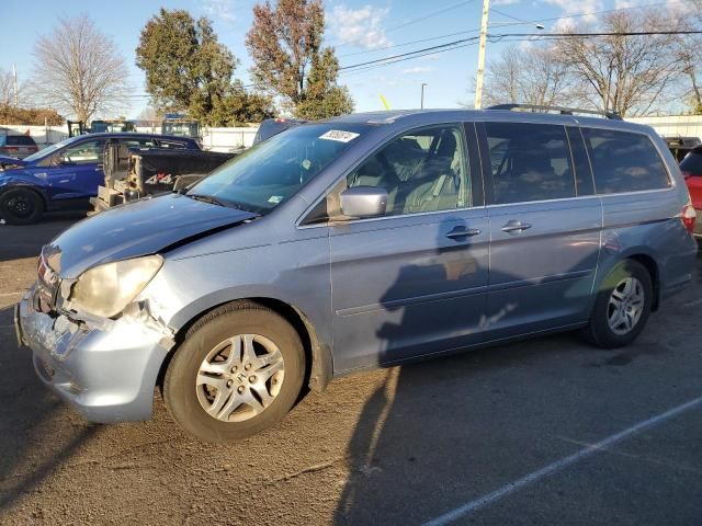 2005 Honda Odyssey EXL