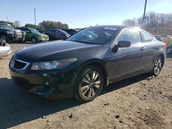 Salvage cars for sale at East Granby, CT auction: 2010 Honda Accord EXL