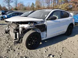 Alfa Romeo Stelvio salvage cars for sale: 2020 Alfa Romeo Stelvio