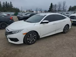 2018 Honda Civic EX en venta en Bowmanville, ON