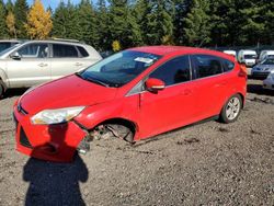 Ford salvage cars for sale: 2012 Ford Focus SEL