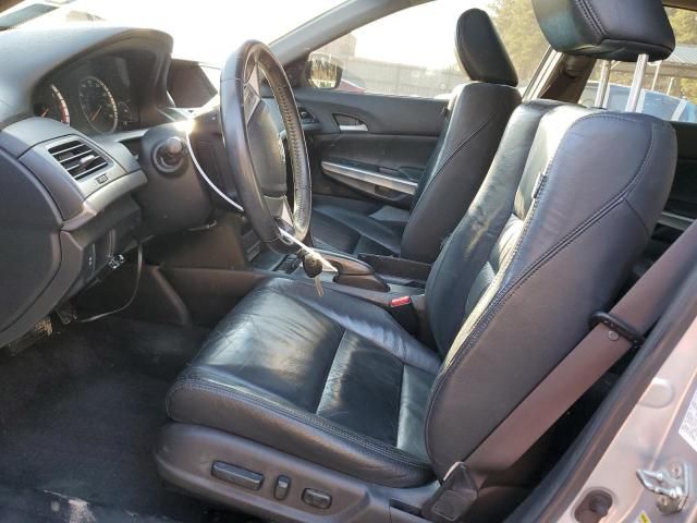 2009 Honda Accord EXL