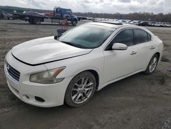 Salvage cars for sale at Spartanburg, SC auction: 2009 Nissan Maxima S