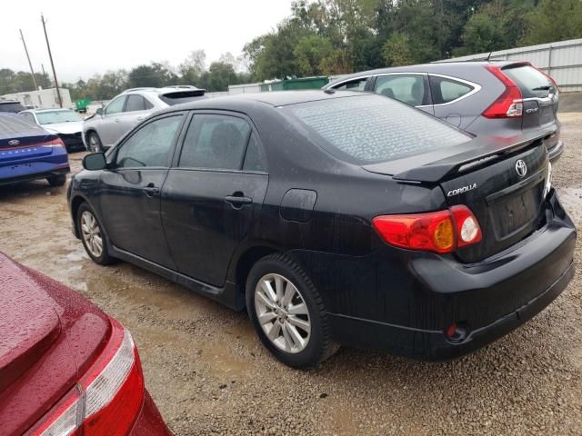 2010 Toyota Corolla Base