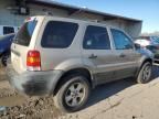 2007 Ford Escape XLT