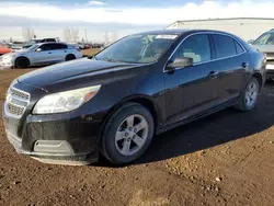 2013 Chevrolet Malibu 1LT en venta en Rocky View County, AB